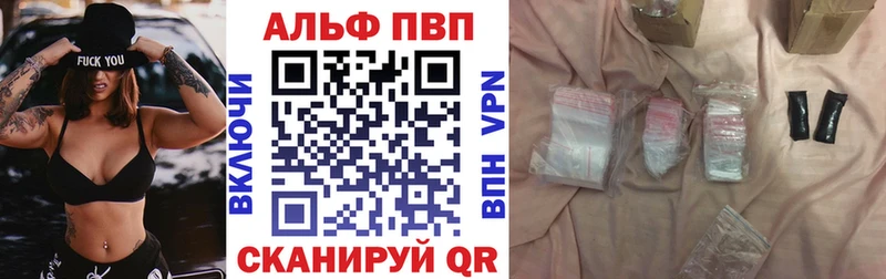 Альфа ПВП СК КРИС  Армавир 
