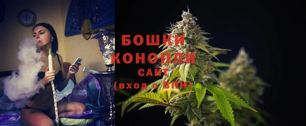 наркотики Бородино