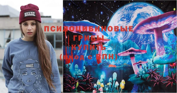 мяу мяу мука Бугульма