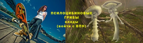 мяу мяу мука Бугульма
